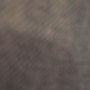 Meet your Posher, Vincent